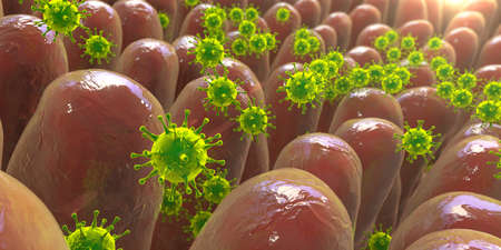 Viruses in human intestine, 3D illustration. Viral enteric infection