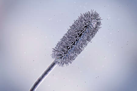 Aspergillus clavatus mold fungi, 3D illustration. A soil microscopic fungus, causes allergic...