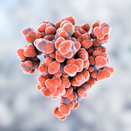 Human insulin hormone molecule, space filled model, 3D illustration. Drug in diabetes treamentの写真素材