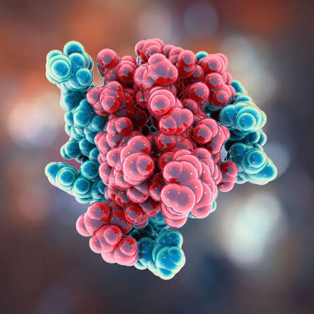 Human insulin hormone molecule, space filled model, 3D illustration. Drug in diabetes treamentの写真素材