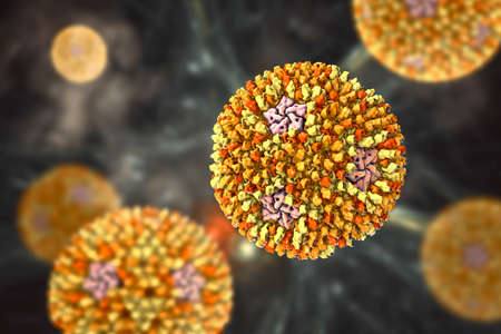 Reoviruses, viruses that cause infection of gastrointestinal and respiratory systems, 3D...