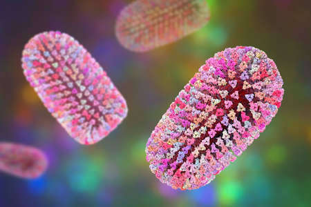 Mokola virus, an RNA virus related to rabies virus isolated from mammals, mainly cats, across sub-Saharan Africa, causes disease similar to rabies in animals and rarely humans, 3D illustrationの写真素材