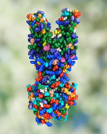 Multidrug transporter molecule that causes multidrug resistance in bacterial and cancer cells, 3D...