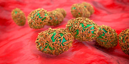 Monkeypox virus infecting human cells, 3D illustration. A zoonotic virus from Poxviridae family,...