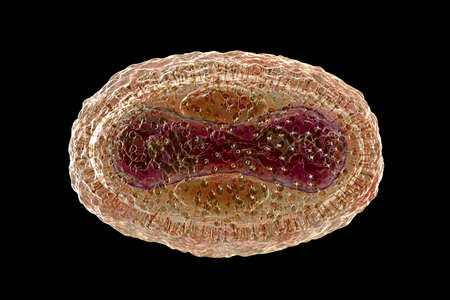 Monkeypox virus, 3D illustration. A zoonotic virus from Poxviridae family, causes monkeypox, a...