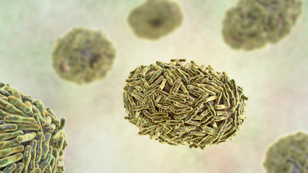 Monkeypox virus, 3D illustration. A zoonotic virus from Poxviridae family, causes monkeypox, a...