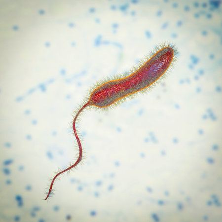 Vibrio cholerae bacteria, 3D illustration. Bacterium which causes cholera disease and is transmitted...