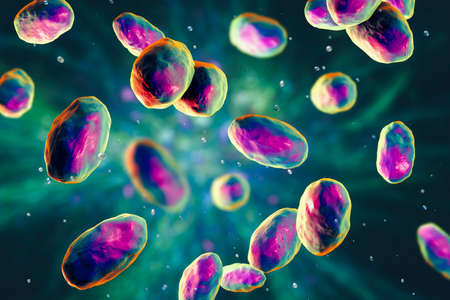 Yersinia pseudotuberculosis bacteria, 3D illustration. Gram-negative bacteria of Enterobacteriaceae family, the causative agent of Yersiniosis, Far East scarlet-like feverの写真素材