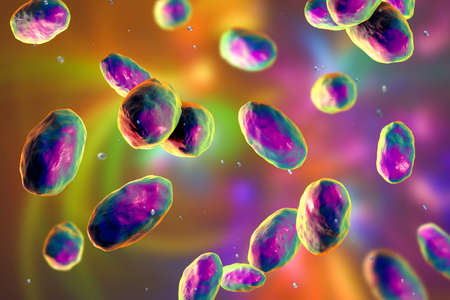Yersinia pseudotuberculosis bacteria, 3D illustration. Gram-negative bacteria of Enterobacteriaceae family, the causative agent of Yersiniosis, Far East scarlet-like feverの写真素材