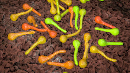 Clostridium tetani bacteria, the causative agent of tetanus disease, 3D illustration