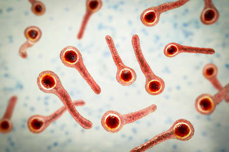 Clostridium tetani bacteria, the causative agent of tetanus disease, 3D illustrationの写真素材