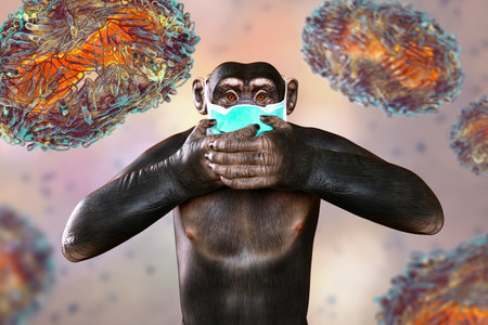 Monkey in a medical mask closing his face with hands on a background with monkeypox viruses,...