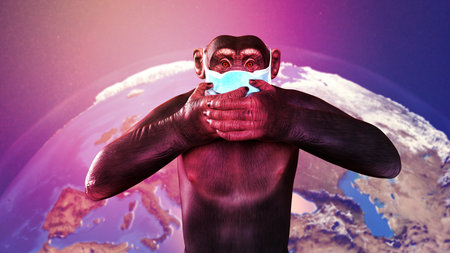 Monkeypox awareness. Monkey in a medical mask in upset position closing his face on a background with Earth globe map, conceptual 3D illustration.の写真素材