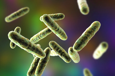Bacteria Eikenella corrodens, 3D illustration. Eikenella is a normal biota of the oral cavity and intestine, causes infections after human bites, and also periodontitis, meningitis and other diseasesの写真素材