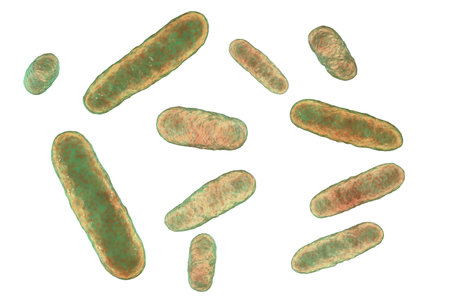 Bacteria Eikenella corrodens, 3D illustration. Eikenella is a normal biota of the oral cavity and...