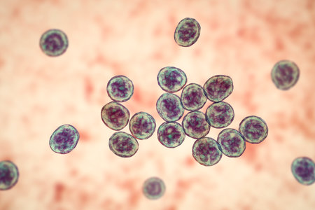 Bacteria methicillin-resistant Staphylococcus aureus MRSA, multidrug resistant bacteria, 3D...