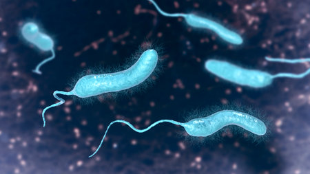 Vibrio mimicus bacteria, 3D illustration. Vibrio species that mimics V. cholerae and causes gastroenteritis transmitted by fish, raw oysters, turtle eggs, prawns, and other sea productsの写真素材