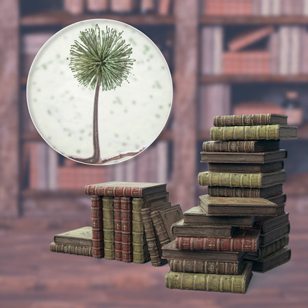Mold in old books, conceptual 3D illustration. Antique books and close-up view of mold fungi Aspergillus, the most common microscopic fungus found in old booksの写真素材