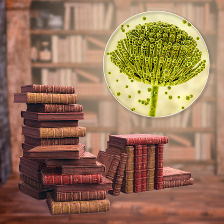 Mold in old books, conceptual 3D illustration. Antique books and close-up view of mold fungi...