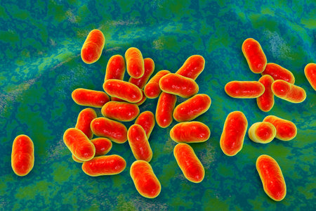Prevotella bacteria, 3D illustration. Gram-negative anaerobic bacteria, members of oral flora, cause anaerobic infections of respiratory tract and other locationの写真素材
