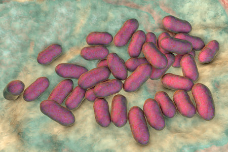 Prevotella bacteria, 3D illustration. Gram-negative anaerobic bacteria, members of oral flora, cause...