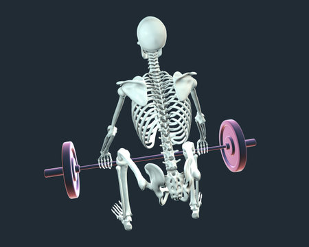 A human skeleton lifting a barbell, conceptual 3d illustrationの写真素材