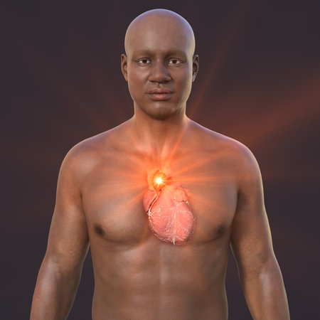 A 3D photorealistic illustration of the upper half part of an African man with transparent skin, revealing an ascending aortic aneurysmの写真素材
