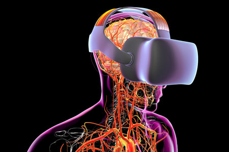 A human body with a highlighted brain and circulatory system in VR glasses, 3D illustration symbolizing VR impact on cognition, physiology, neuroscience, therapy, and human experience.の写真素材