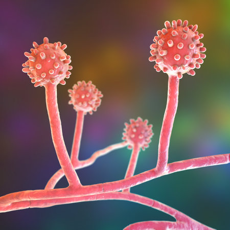 Histoplasma capsulatum, a parasitic, yeast-like dimorphic fungus that can cause lung infection...