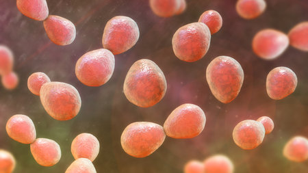 Histoplasma capsulatum, a parasitic, yeast-like dimorphic fungus that can cause lung infection...