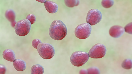 Histoplasma capsulatum, a parasitic, yeast-like dimorphic fungus that can cause lung infection...