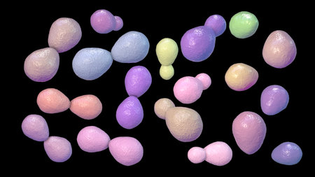 Histoplasma capsulatum, a parasitic, yeast-like dimorphic fungus that can cause lung infection histoplasmosis. A 3D illustration depicts an yeast form typically found in host tissues.の写真素材