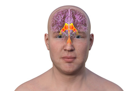 A 3D photorealistic illustration showcasing the portrait of a man, confidently looking at the camera, revealing the intricate details of his skin, face, and body anatomy.の写真素材