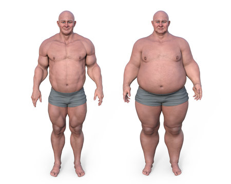 3D illustration of a full-body middle-aged Caucasian man shown with both bodybuilder and overweight constitution, highlighting contrasting body compositions.の写真素材