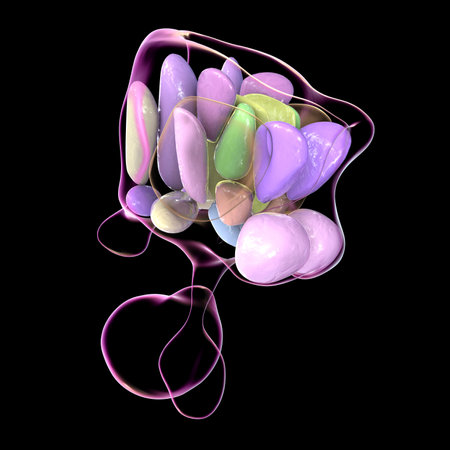 Detailed 3D illustration of hypothalamic nuclei, showcasing the brain's vital control center for various physiological functions.の写真素材