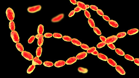 Haemophilus ducreyi bacteria, 3D illustration of gram-negative coccobacilli. Causes chancroid, a sexually transmitted disease with painful genital ulcers and lymphadenopathy.の写真素材