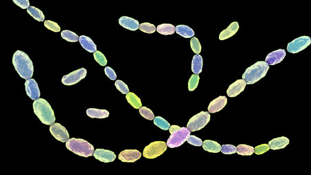 Haemophilus ducreyi bacteria, 3D illustration of gram-negative coccobacilli. Causes chancroid, a sexually transmitted disease with painful genital ulcers and lymphadenopathy.の写真素材