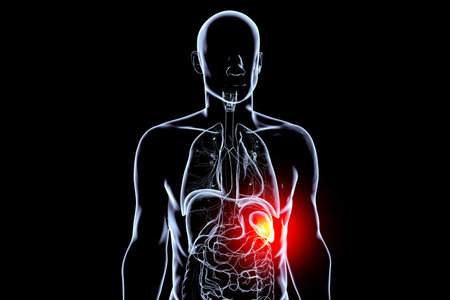 3D illustration showing malignant growth in the spleen, affecting blood filtration and immune function.の写真素材