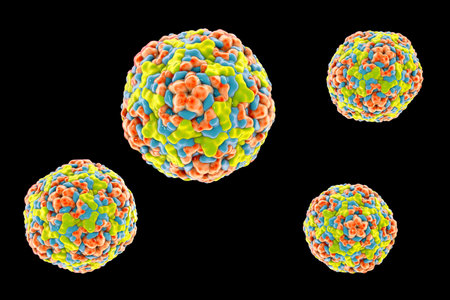 Enteroviruses, 3D illustration showing spherical, non-enveloped RNA viruses responsible for diseases like meningitis, myocarditis, hand-foot-mouth disease.の写真素材