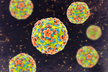 Enteroviruses, 3D illustration showing spherical, non-enveloped RNA viruses responsible for diseases like meningitis, myocarditis, hand-foot-mouth disease.の写真素材