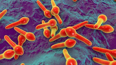 Clostridium botulinum, 3D illustration. Bacterium producing botulinum toxin, leading to botulism with flaccid paralysis and respiratory failure.の写真素材