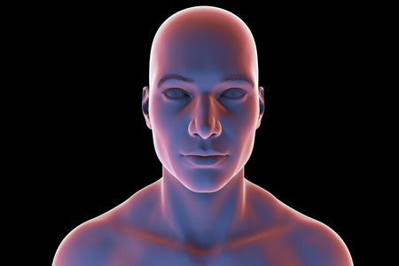 Man' head and neck in silhouette, front view, 3D illustration showing anatomical outline and structural features on a black background.の写真素材