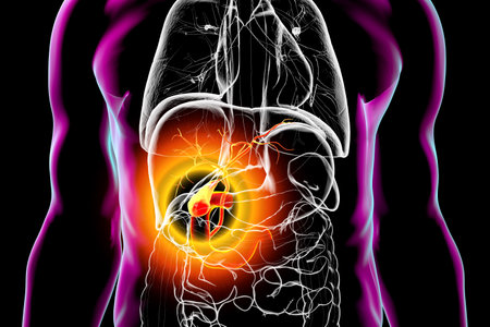 Gallbladder diseases concept, 3D illustration showing human body with highlighted gallbladder, associated with cholelithiasis, cholecystitis, and other diseases.の写真素材
