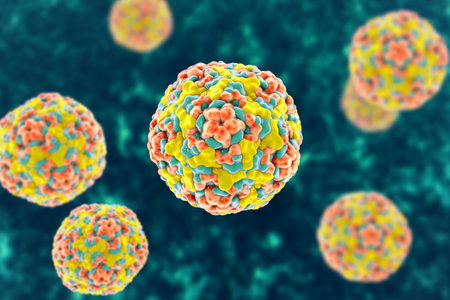 Enteroviruses, 3D illustration showing spherical, non-enveloped RNA viruses responsible for diseases like meningitis, myocarditis, hand-foot-mouth disease.の写真素材