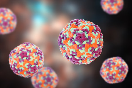 Enteroviruses, 3D illustration showing spherical, non-enveloped RNA viruses responsible for diseases like meningitis, myocarditis, hand-foot-mouth disease.の写真素材