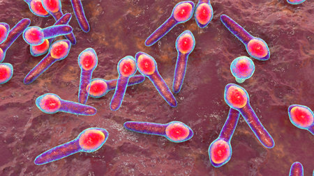 Clostridium botulinum, 3D illustration. Bacterium producing botulinum toxin, leading to botulism with flaccid paralysis and respiratory failure.の写真素材