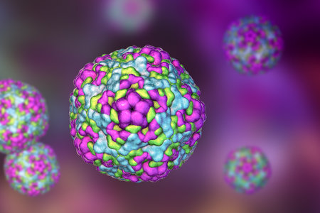 Enteroviruses, 3D illustration showing spherical, non-enveloped RNA viruses responsible for diseases like meningitis, myocarditis, hand-foot-mouth disease.の写真素材