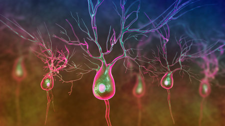 Purkinje neurons, 3D illustration showing large, branching neurons of the cerebellar cortex, involved in motor coordination, and affected in ataxias.の写真素材