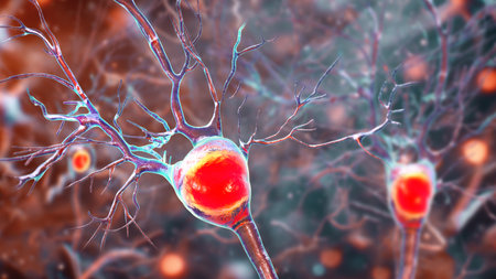 Purkinje neurons, 3D illustration showing large, branching neurons of the cerebellar cortex,...