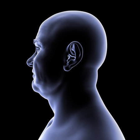 Man' head and neck in silhouette, side view, 3D illustration showing anatomical outline and structural features on a black background.の写真素材